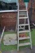Vintage Wooden Ladders, Wooden Box, Plant Pots, etc.