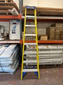 Set of Werner Eight Tread Steps