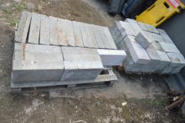 ~40 Assorted Cinderblocks, Thermal Blocks, and Breezeblocks