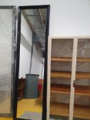 * large mirror - 700w x 2500h