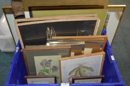 Framed Pictures and Prints