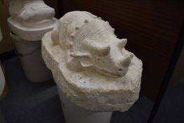 *Triceratops Cast ~12” tall, 23” long, 12” wide