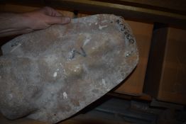 *GRP Cast and Mould ~16”