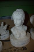 *Female Bust Cast ~11.5” tall, 7.5” wide, 6” deep
