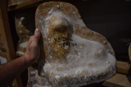 *Yorkshire Terrier GRP Jacket and Mould ~13”