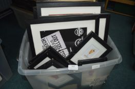 Jack Wills Advertising Display Photographs