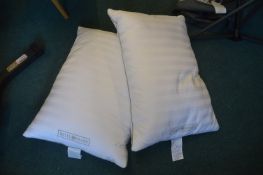 *Pair of Hotel Grand Duck Down Pillows