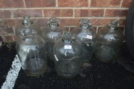 Six 1-gal Glass Demijohns