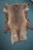 Deerskin Rug