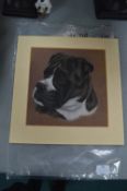 Original Pastel Dog Sketch Signed Middi 1978