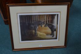 Signed Framed Print 