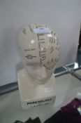 Reproduction Phrenology Head