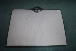 Large Portfolio case