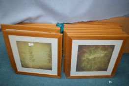 Framed Pictures and Prints