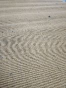 * Entrance matt - ideal for retail store, etc - 4 x 2m