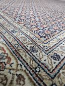 * Stunning large rug - 2.51m x 3.54m