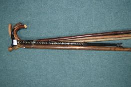 Bundle of Walking Sticks