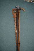 Assorted Walking Sticks