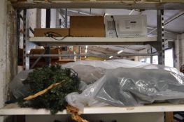 *Two Small Christmas Trees