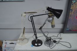 Adjustable Desk Lamp
