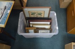 Framed Pictures and Prints