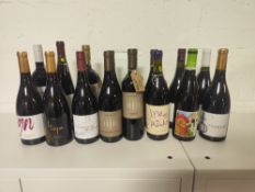 (16) Various bottles of red wine, as photographed