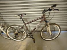 Childrens Pinnacle Bicycle