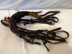 Webbing harness to fit 13.2hh pony, no bridle.