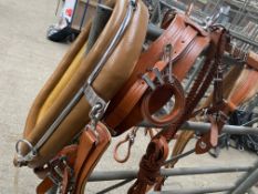 Set of brown trade harness with 22