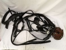 Set of PAIR harness, black and white metal with 22