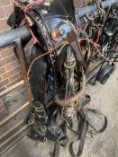 Set of black/brass collar trade harness, collar 23