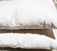 Set Of 2 PRATESI Pillows In Egyptian Cotton With 70% Goose Down And 30% Goose Feathers 30x40cm
