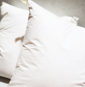Set Of 4 PRATESI Pillows In Egyptian Cotton With 70% Goose Down And 30% Goose Feathers 30x40cm