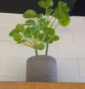 Set Of 12 x Various Artificial Herbs & Plants (5-20cm) In Individual Ceramic Patterned Grey Pots