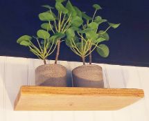 6 x Set Of - 50cm Wooden Floating Shelves In Rustic Chunky Oak Timber Finished In Oil And Wax