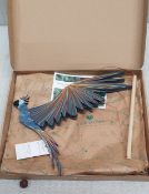 1 x Handcrafted Flying Mobile Parrot Decoration by Fair Moms - Ref: TCH464 - CL840 - Location: