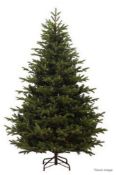 1 x EVERLANDS Premium Green Mountain Spruce Tree (7ft x 4.8ft) - Original Price £514.00 - Unused