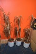 10 x Assorted Plant Vases