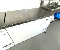 1 x Prodis Commercial Chest Freezer With Stainless Steel Top