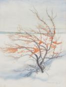 Hildegard Grube-Loy
