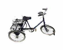 Pashley Picador trike