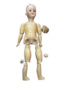 Heubach Koppelsdorf bisque head doll for restringing. Blue eyes, lacking hair. Marked to back of