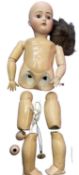 Bisque head doll for restringing. Brown eyes and hair. Marked to back of head 192 17. Length