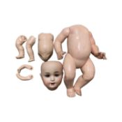A Schutzmeister and Quendt bisque head doll for restringing. Blue eyes, lacking hair. Marked to back