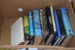 Mixed lot of twelve modern fiction books (537B)