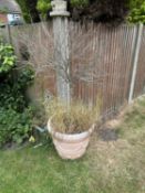 Two matching plastic garden plant pots, height approx 50cm to include contents