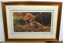 Alan M. Hunt (British, b.1947), Male lion at rest, limited edition lithograph in colours, numbered