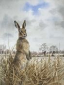 John Paley (British, 20th/21st century), a standing hare, watercolour, signed, 15x11ins, framed