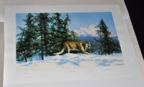 David Shepherd (British,1931-2017), 'Mountain Lion', limited edition silk screen, numbered 334/350