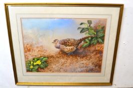 David Orr Kerr (British, b.1951), Hen pheasant, watercolour, signed, 49x68cm, framed and glazed.